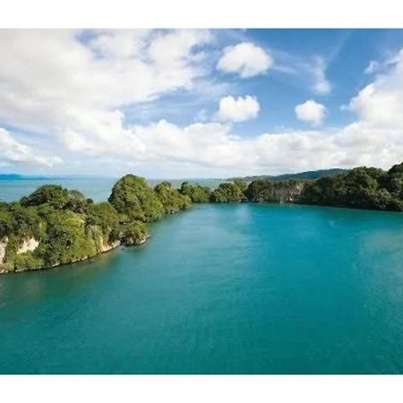 Room In Guest Room - Best Bed And Breakfast In Samana Breakfast Included Exteriér fotografie