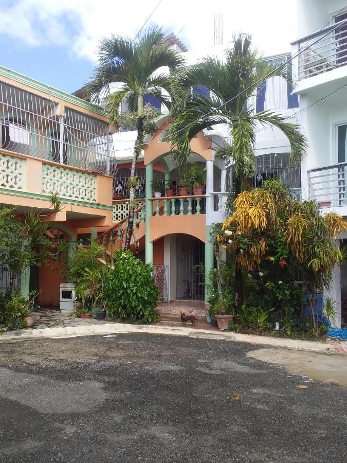 Room In Guest Room - Best Bed And Breakfast In Samana Breakfast Included Exteriér fotografie