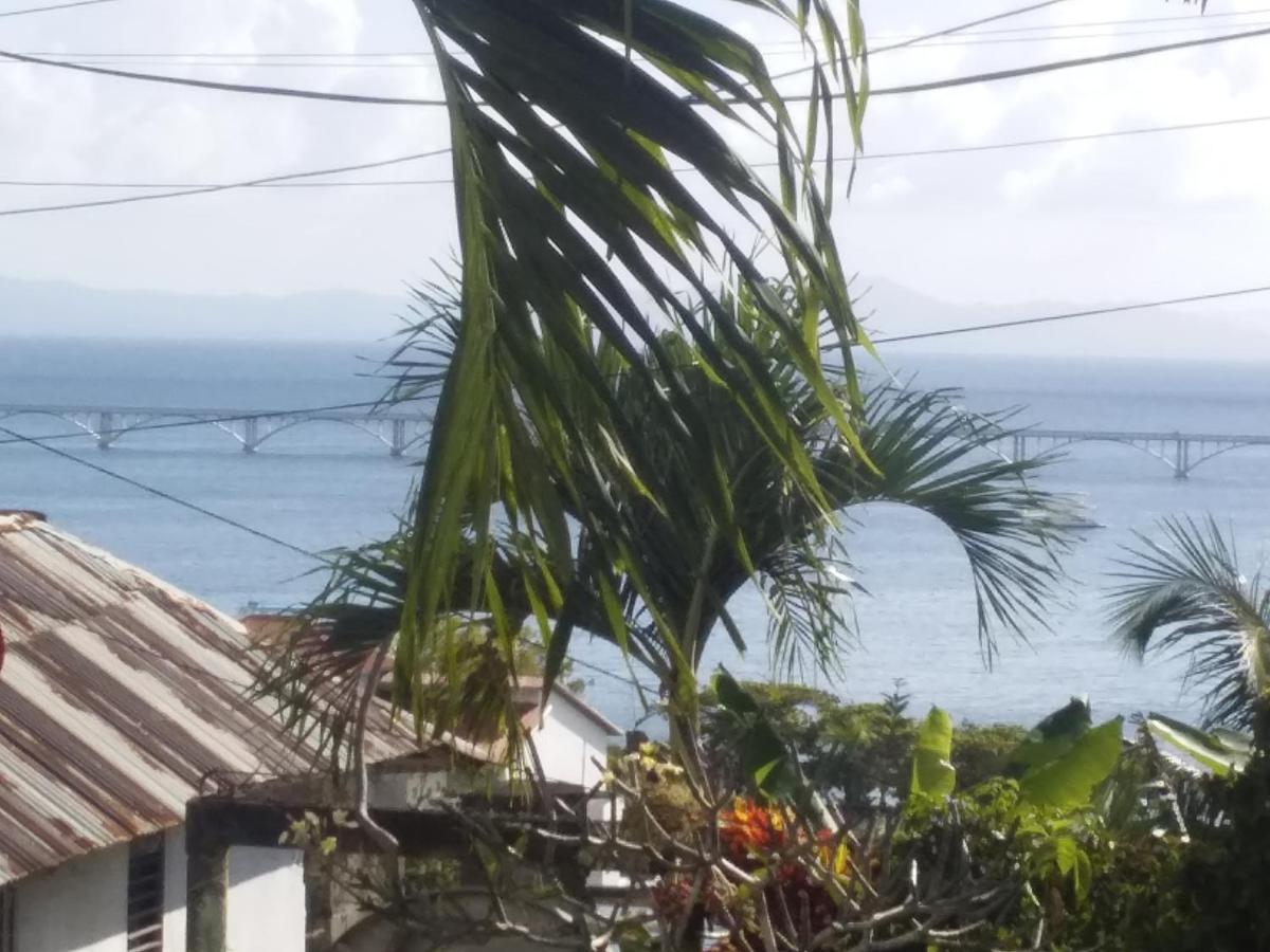 Room In Guest Room - Best Bed And Breakfast In Samana Breakfast Included Exteriér fotografie