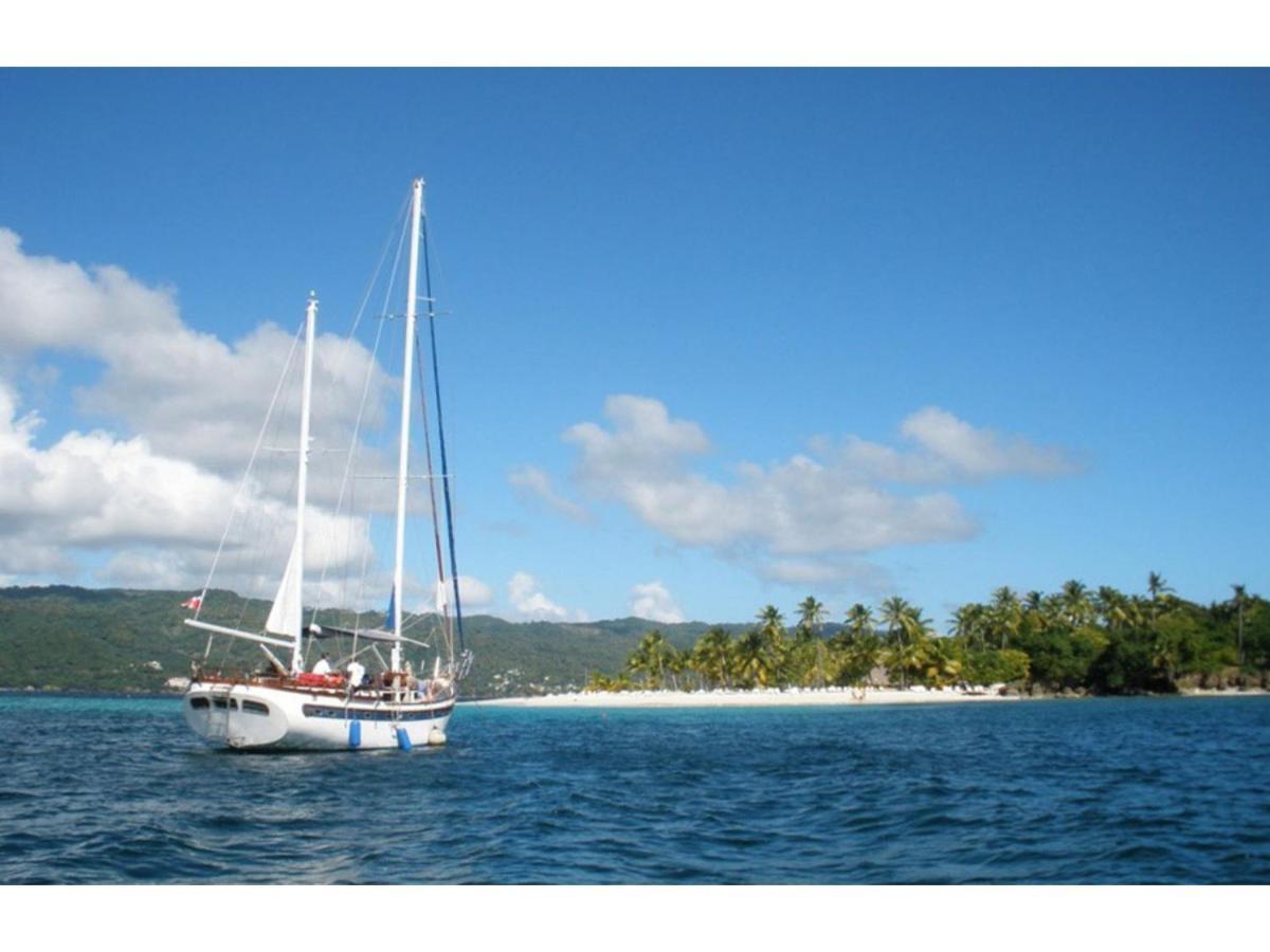 Room In Guest Room - Best Bed And Breakfast In Samana Breakfast Included Exteriér fotografie